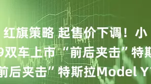 红旗策略 起售价下调！小鹏G6、G9双车上市 “前后夹击”特斯拉Model Y？