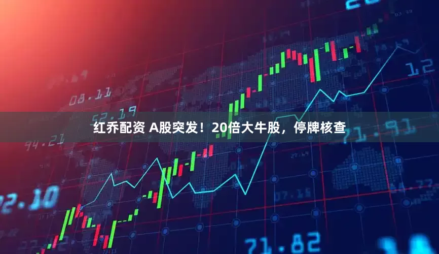 红乔配资 A股突发！20倍大牛股，停牌核查